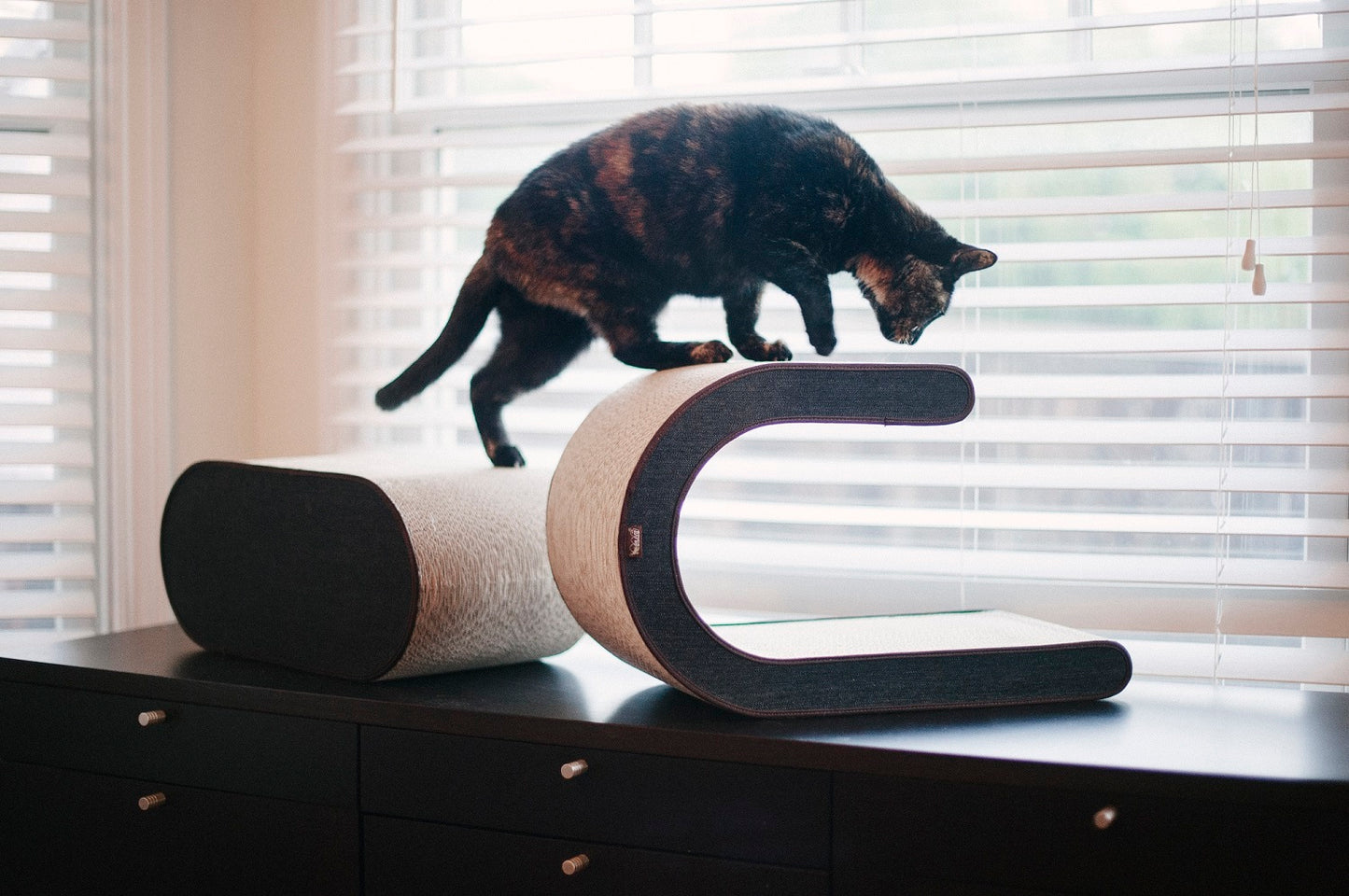 The Arty Cat Scratcher