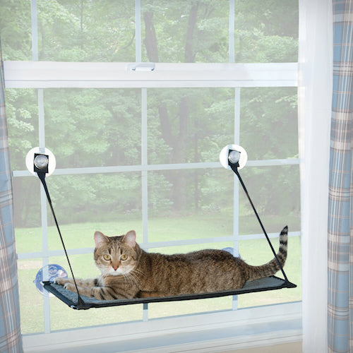 Kitty Sill - EZ Window Mount