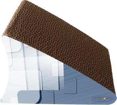 Endeavor Scratch 'n Shape, 2-in-1