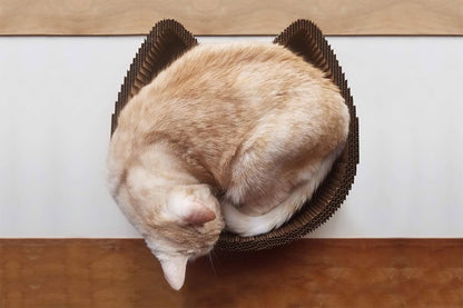 2-in-1 Cat Scratching Pad & Lounge Bed
