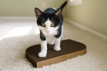 Cat Scratching Pad: Rectangle Shape
