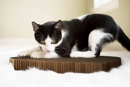 Cat Scratching Pad: Cat Head Shape
