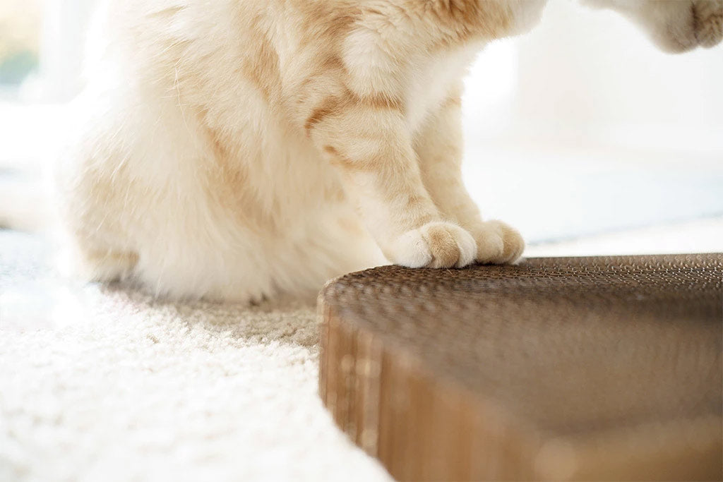 Cat Scratching Pad: Cat Head Shape