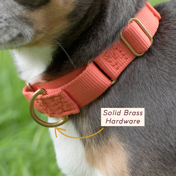 FURever Marty Collar