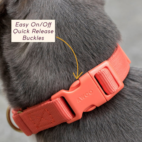 FURever Marty Collar