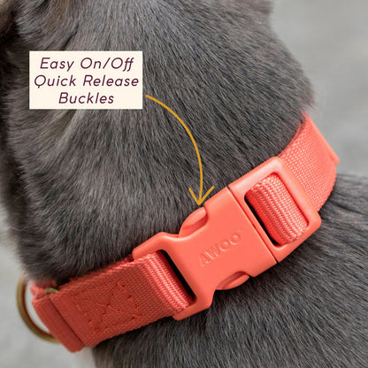 FURever Marty Collar