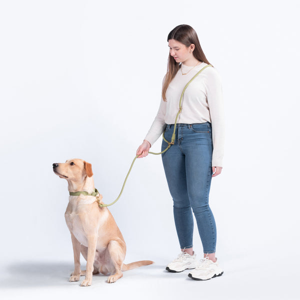 FURever Infinity Leash
