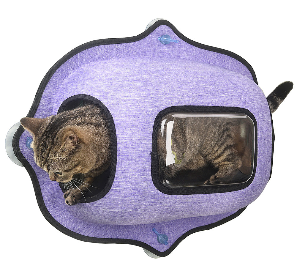 Pet Life'Purr-view' See-through Suction Cup Kitty Cat Lounger and Bed