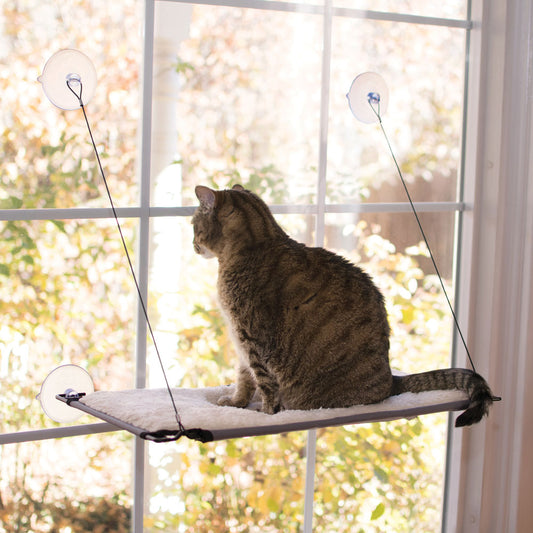 Window Lounger by K&H
