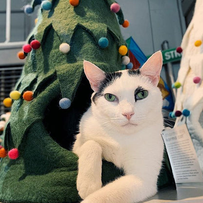 Wool Pet Cave, Holiday Tree, Green