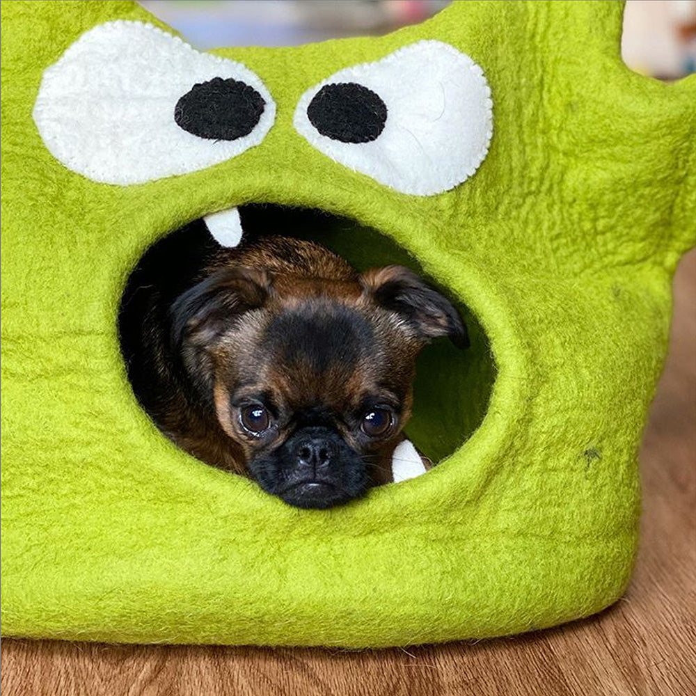 Wool Pet Cave, Monster, Green