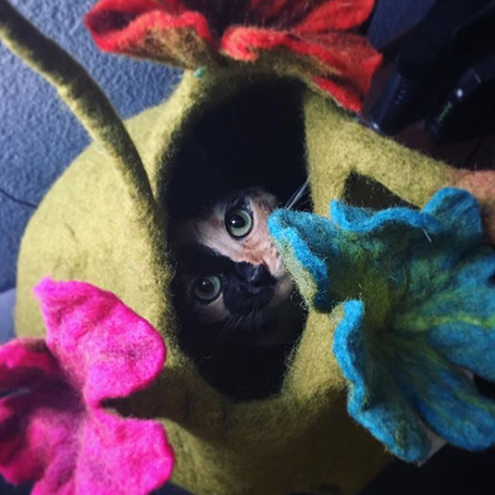 Wool Pet Cave, Bouquet, Multi Color