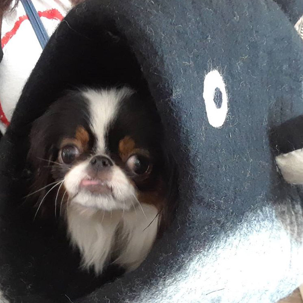 Wool Pet Cave, Orca, Grey/White