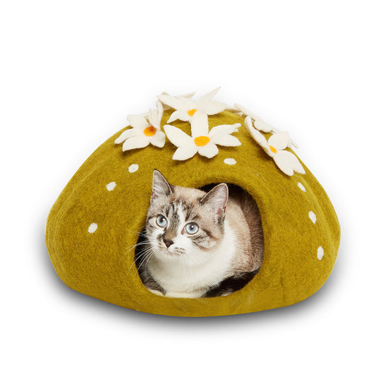 Wool Pet Cave, Cactus