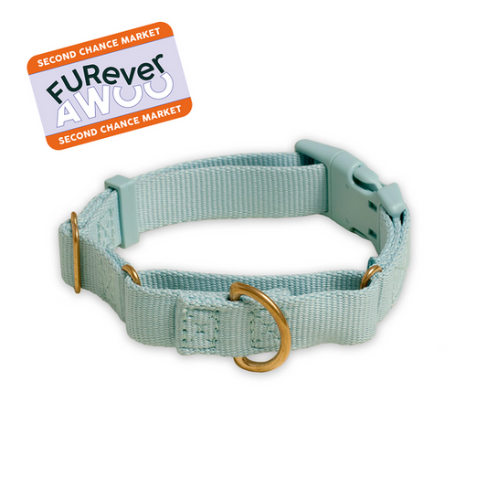 FURever Marty Collar