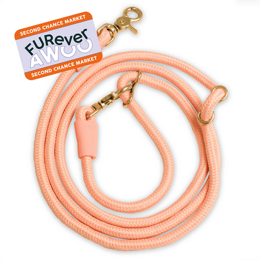 FURever Infinity Leash