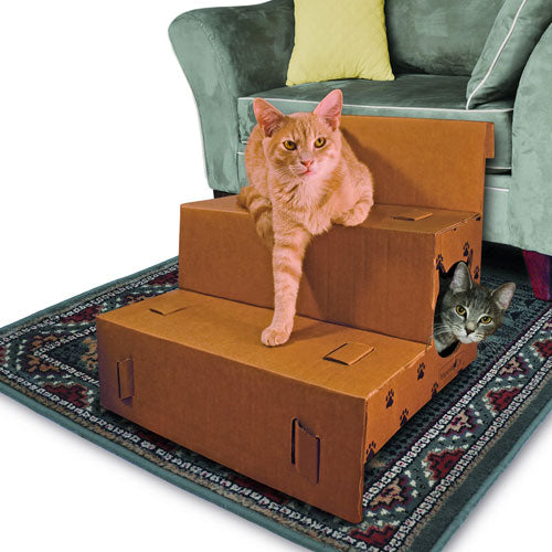 Play 'n Step Pet Steps