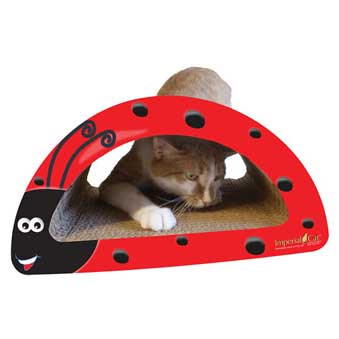 Scratch 'n Shapes Lady Bug (2-in-1) Scratcher