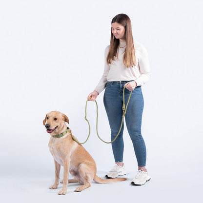 FURever Infinity Leash