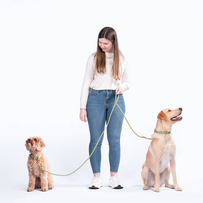 FURever Infinity Leash