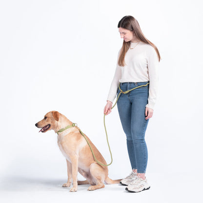 FURever Infinity Leash