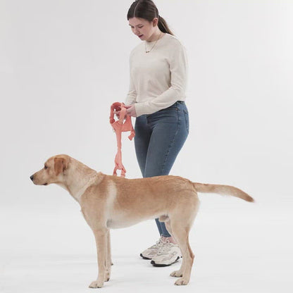 Huggie Harness