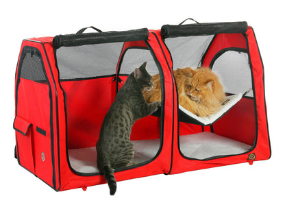 Cat Show House - Double