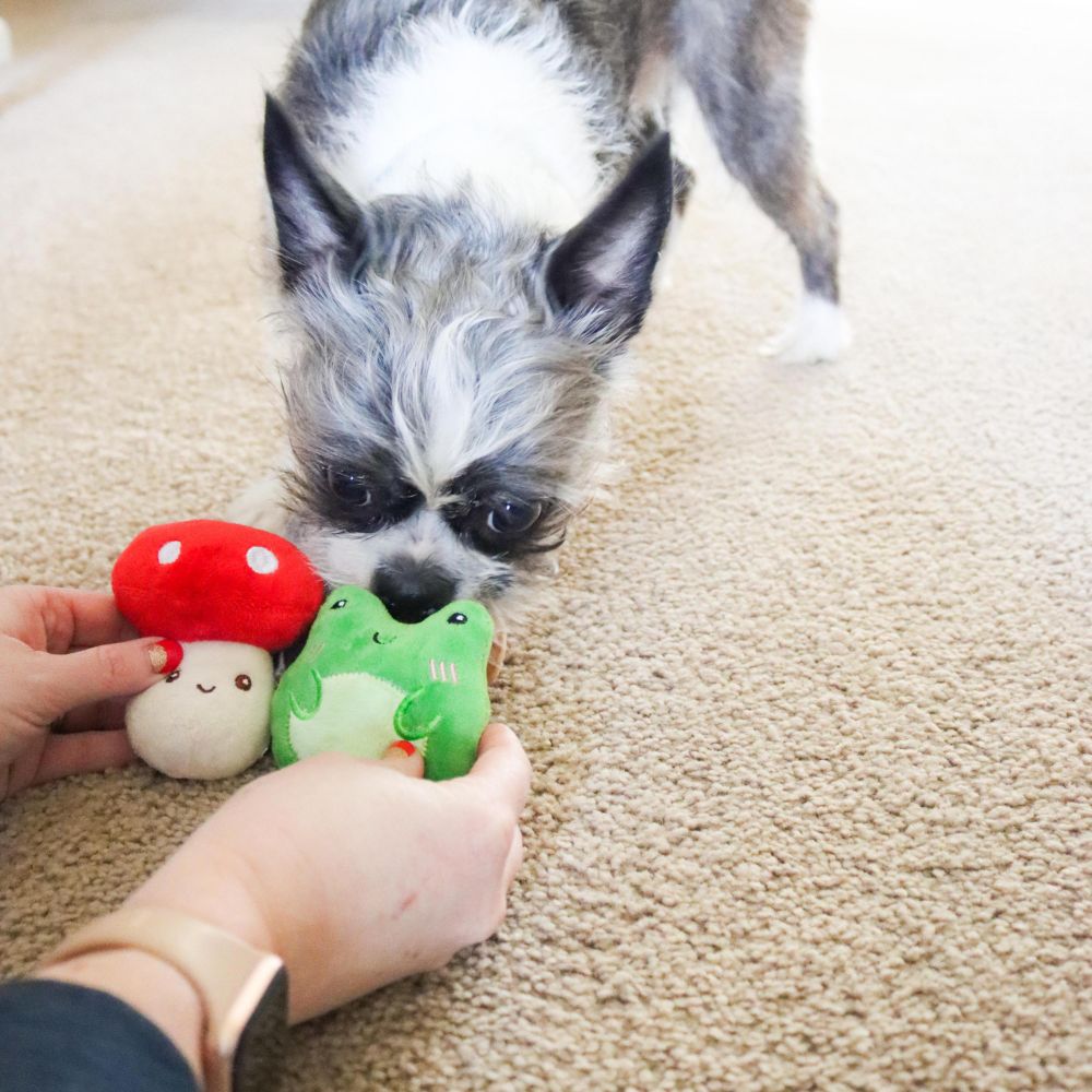 Li'l Pals 3 Pack Dog Toy Combo, Secret Garden, One Size